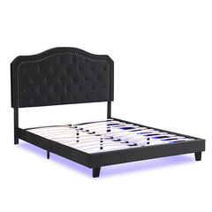 Queen Upholstered Bed Button Tufted with Curve Design