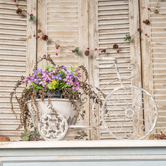 Rustic Bicycle Metal Wire Wall Planter Basket