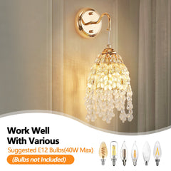 Set of 2 Gold Frame Crystal Grape-Shaped Bead Wall Sconces