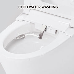 Nuvia 1/1.28 GPF Smart Compact Dual Flush Tankless Toilet Bidet Combo With Self-Cleaning Nozzle And Foot Sensor Flush (SAK58021)