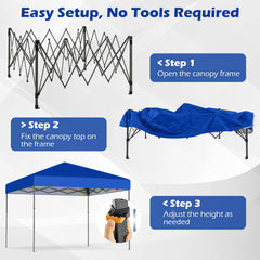 10 X 10 Feet Pop up Canopy Tent with Portable Carrying Bag and 8 Stakes