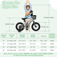 12 Inch Kids Bike Adjustable with Transparent Chain Cover for 3-4 Years Old