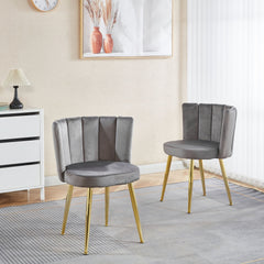 Ergonomic Dining Chair (Set of 2)
