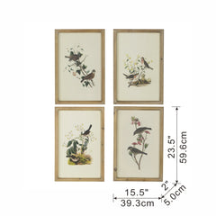 Set of 4 Bird Framed Prints