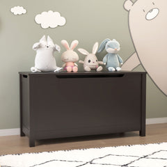 Toy Box Storage With Safety Hinged Lid