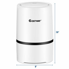 Mini Ionic 3-in-1 Composite HEPA Air Purifier