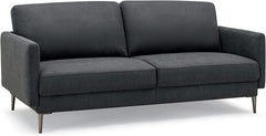 Modern Loveseat with Comfy Backrest Cushions