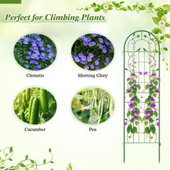 2 Pack 71 x 20 Inch Metal Garden Trellis Rustproof Plant Support for Climbing Plants