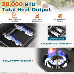 30 000 BTU Outdoor Burner Propane Gas Grill on Wheels-Black