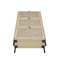 Modern Rattan 3 Door Shoe Rack Cabinet for Entryway