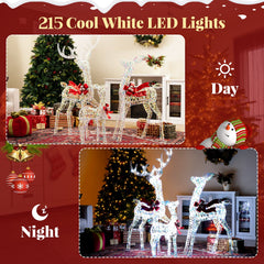 3-Piece Christmas Lighted Iridescent Reindeer Family Set with 215 Cold White LED Lights and Ground Stakes
