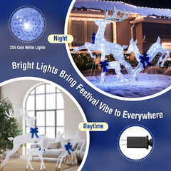 3 Pieces Lighted Christmas Reindeer Family Set with 255 Lights