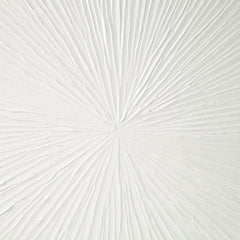 Luminous Burst™ Signature White Gloss Dimensional Resin Wall Art