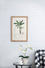 Tree Framed Print Set of 2 - Multicolor Botanical Wall Art