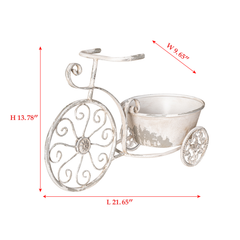 Rustic Bicycle Metal Wire Wall Planter Basket