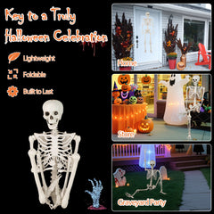 5.4 FT Halloween Skeleton Decoration Life Size Large Skeleton