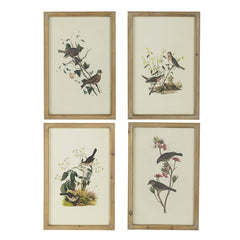 Set of 4 Bird Framed Prints