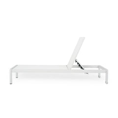 Outdoor Chaise Lounge Chair Set of 2