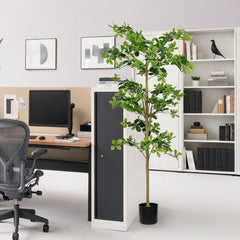 6FT Tall Artificial Polyscias Fruticosa Tree for Indoor Decor