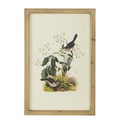 Set of 4 Bird Framed Prints