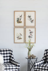 Set of 4 Bird Framed Prints