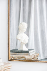 The Aurelia Mirror