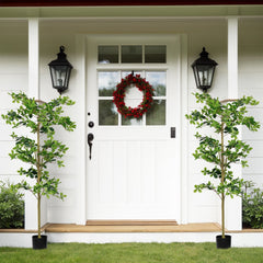 6FT Tall Artificial Polyscias Fruticosa Tree for Indoor Decor