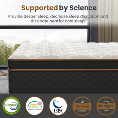 Home 10" Flexpedic Luxury Memory Foam & Pocket Spring Mattress