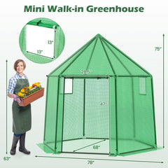 6.5 x 5.6 x 6.2 FT Mini Walk-in Greenhouse Portable Outdoor Warm House for Winter with PE Cover-Green