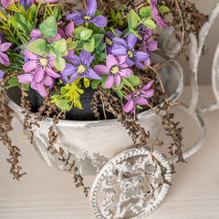 Rustic Bicycle Metal Wire Wall Planter Basket