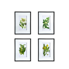 Verdure Elegance™ — Set of 4 Botanical Wall Art Prints