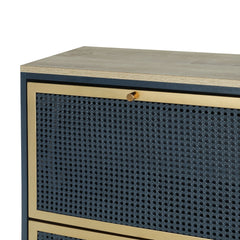 Modern Rattan 3 Door Shoe Rack Cabinet for Entryway
