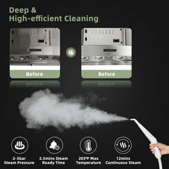1000W Handheld Steam Cleaner with 10 Accessories