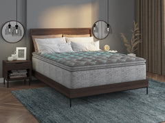 Restonic comfort care 10' hybrid, euro top, individual pocketed coil mattress , plush comfort