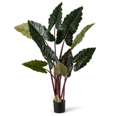 Artificial Rainbow Taro Tree 63" Tall with 11 Faux Leaves
