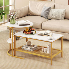 Coffee Table 2-Tier Rectangle Coffee Table and Side End Table with Storage Shelves