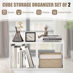 Cube Storage Organizer Set of 2-White