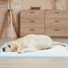 Dog and Puppy Pee Pads 36" x 36" (100 Counts) for Potty Training-Blue