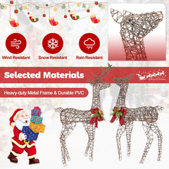 2 Pieces Lighted Reindeer Family with 200 LED Lights