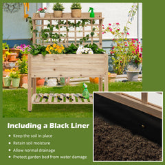 Wooden Raised Garden Bed with Wheels Trellis and Storage Shelf