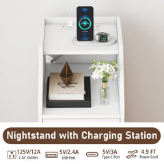 Set of 2 Side End Tables with Charging Station Sofa Couch Tables with Shelf Drawers