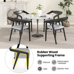 Wooden Dining Chair Set of 2 with Rubber Wood Frame Armrests and Padded Cushion-black