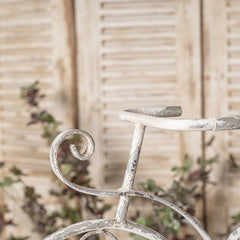 Rustic Bicycle Metal Wire Wall Planter Basket