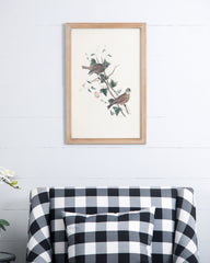 Set of 4 Bird Framed Prints