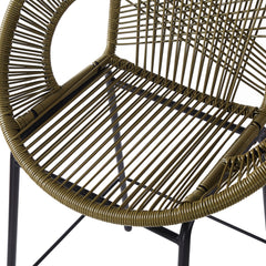 Ferrara Outdoor Patio Green Faux Wicker Barstool Set