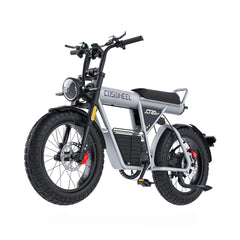 Coswheel CT20S 60V35AH 2000W 7-Speed Full-Suspension Electric Bike (SAK87104)