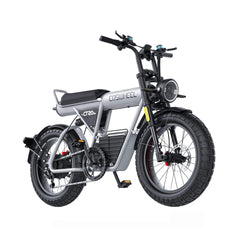 Coswheel CT20S 60V35AH 2000W 7-Speed Full-Suspension Electric Bike (SAK87104)