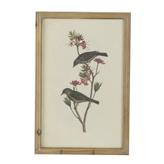Set of 4 Bird Framed Prints