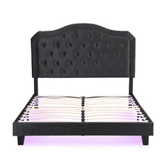 Queen Upholstered Bed Button Tufted with Curve Design