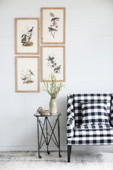 Set of 4 Bird Framed Prints